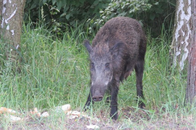 Wycieczka do Oceanarium