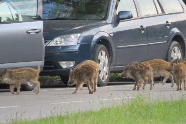 Wycieczka do Oceanarium
