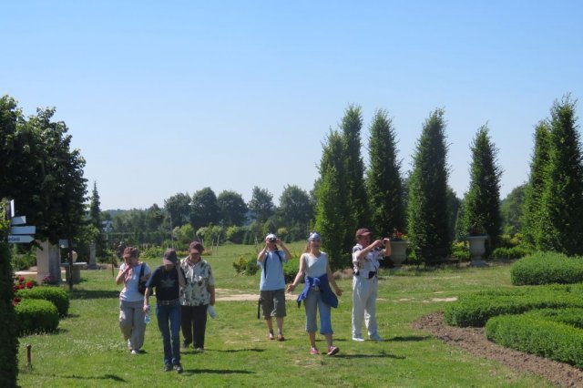 Dobrzyca