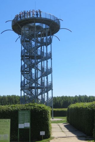 Dobrzyca