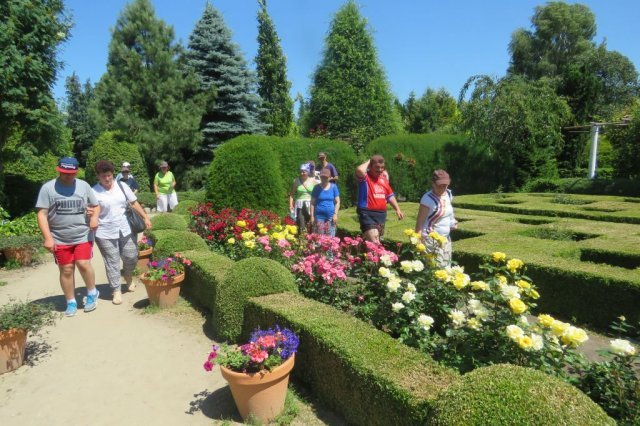 Dobrzyca