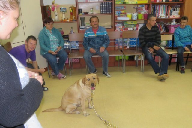 Dogoterapia