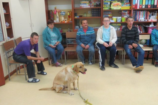 Dogoterapia
