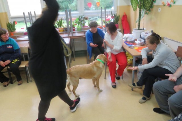 Dogoterapia