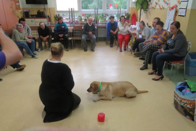 Dogoterapia