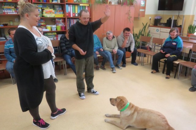 Dogoterapia