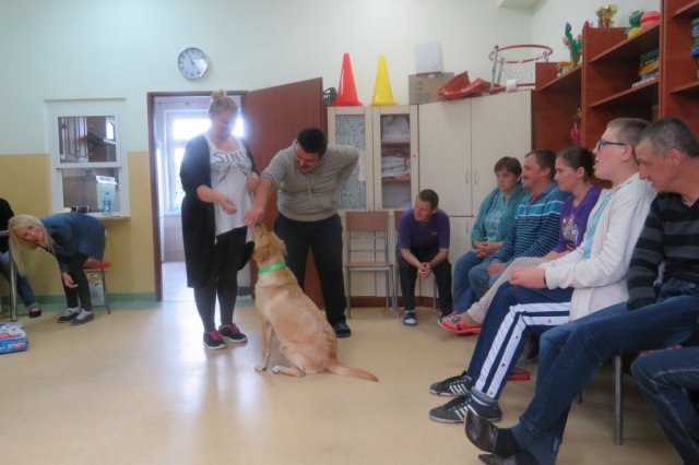 Dogoterapia