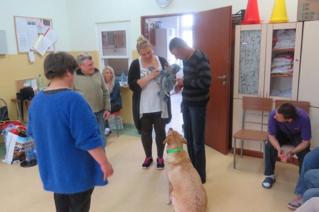 Dogoterapia
