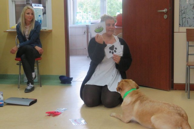 Dogoterapia