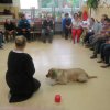 Dogoterapia