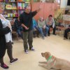 Dogoterapia