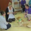 Dogoterapia