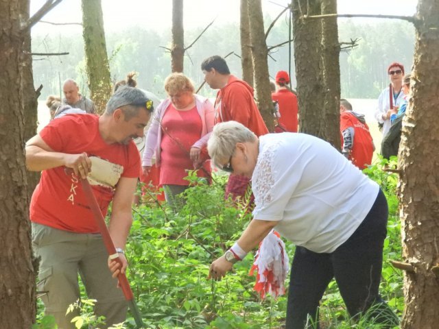 100 drzew na 100-lecie odzyskania Niepodległości