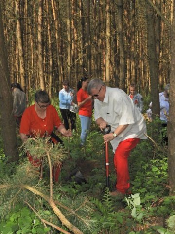 100 drzew na 100-lecie odzyskania Niepodległości