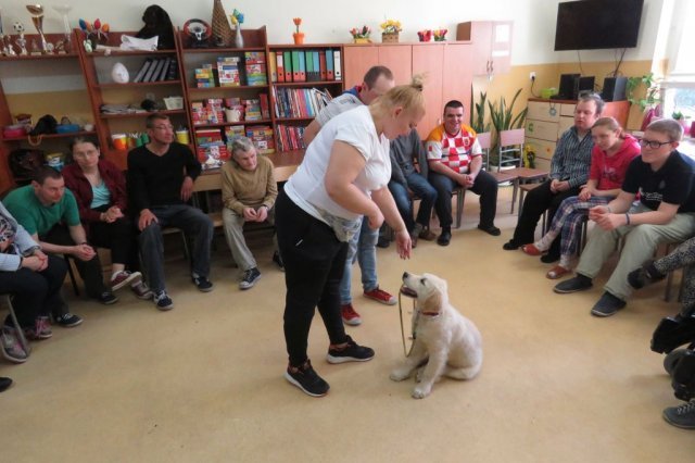 Dogoterapia