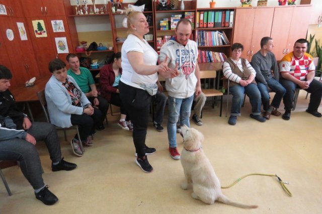 Dogoterapia