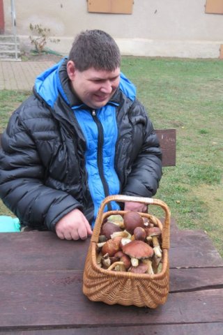 Grzybobranie