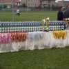 VII Ponadregionalna Olimpiadza Specjalna