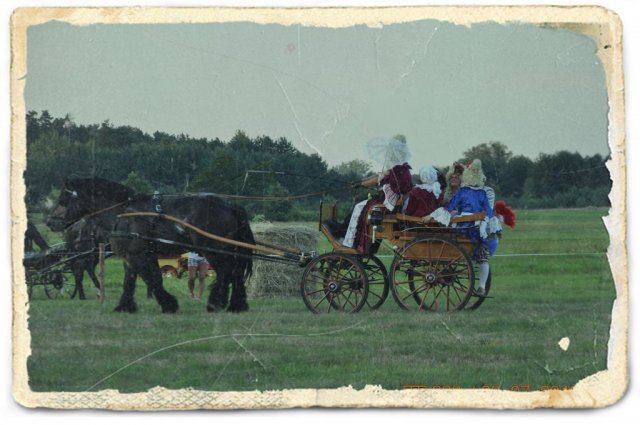 Dzień Konia
