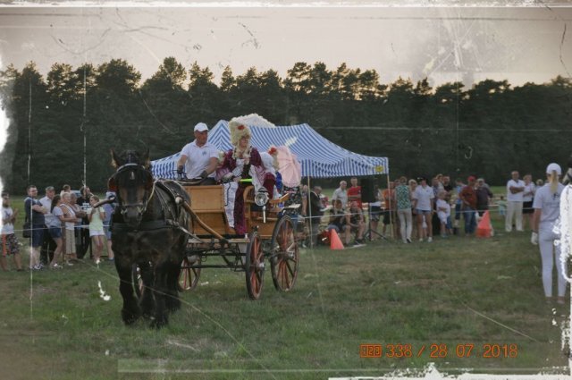 Dzień Konia
