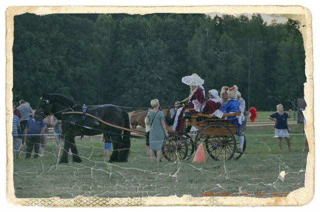 Dzień Konia