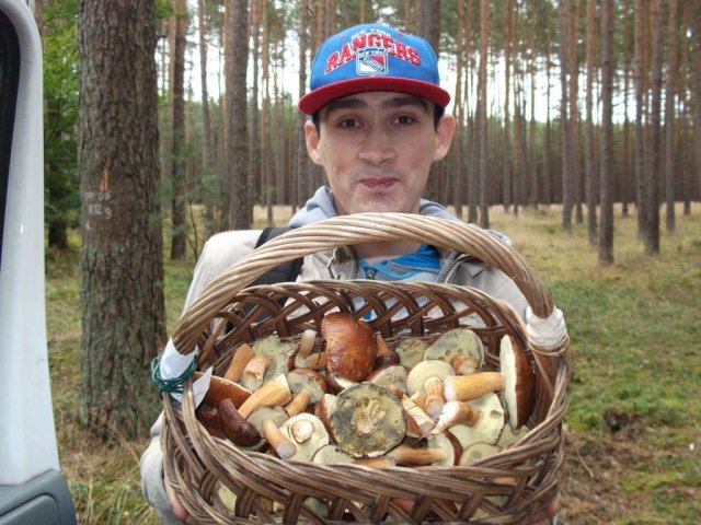 Grzybobranie