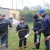 Święto pieczonego ziemniaka