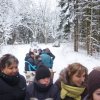 Kulig 2013