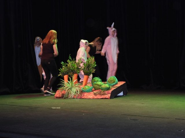 z__fests66